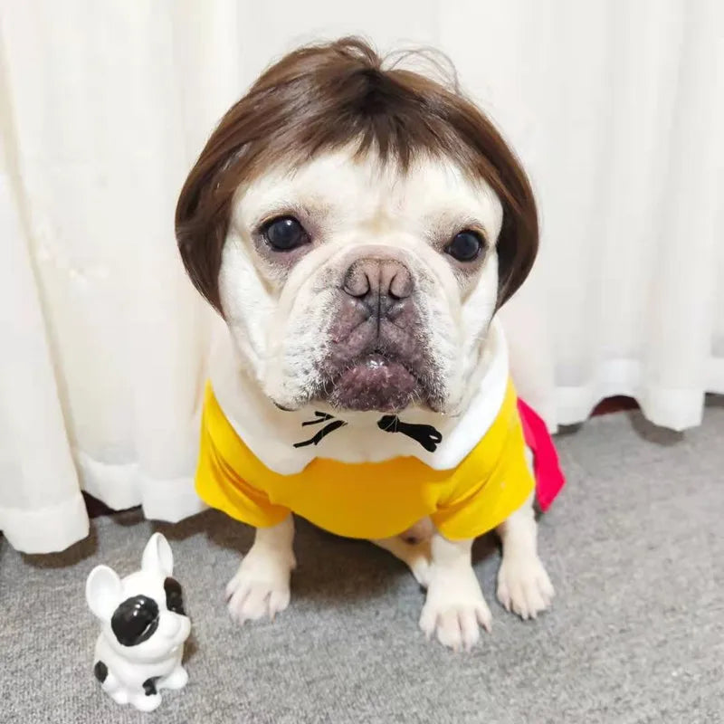 Funny Dogs Cats Cross-Dressing Hair Hat for Halloowen Christmas Supplies